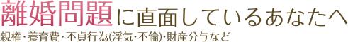 離婚問題に直面しているあなたへ 親権・養育費・不貞行為（浮気・浮気）・財産分与など